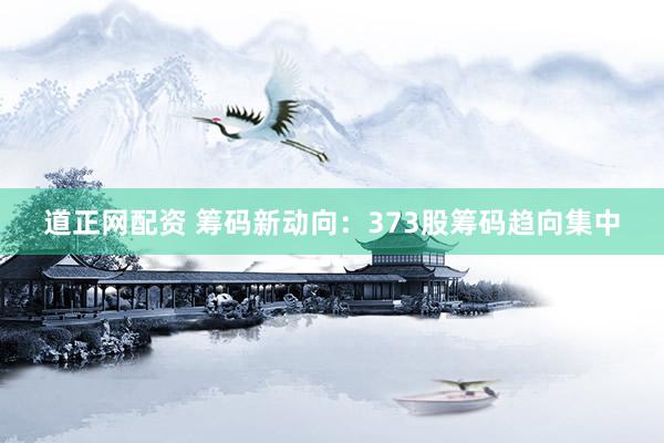 道正网配资 筹码新动向：373股筹码趋向集中