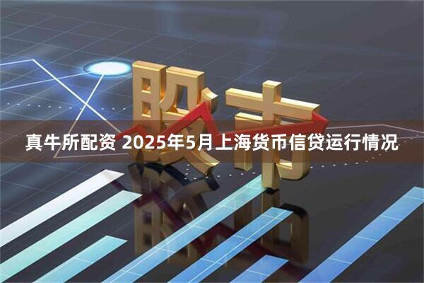 真牛所配资 2025年5月上海货币信贷运行情况