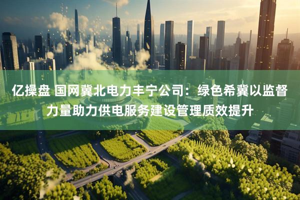 亿操盘 国网冀北电力丰宁公司：绿色希冀以监督力量助力供电服务建设管理质效提升