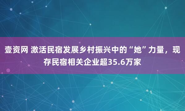 壹资网 激活民宿发展乡村振兴中的“她”力量，现存民宿相关企业超35.6万家