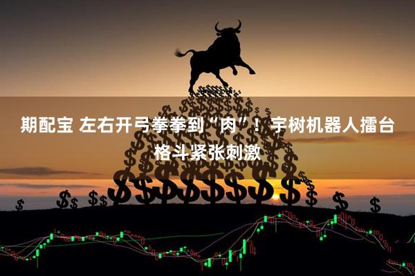 期配宝 左右开弓拳拳到“肉”！宇树机器人擂台格斗紧张刺激
