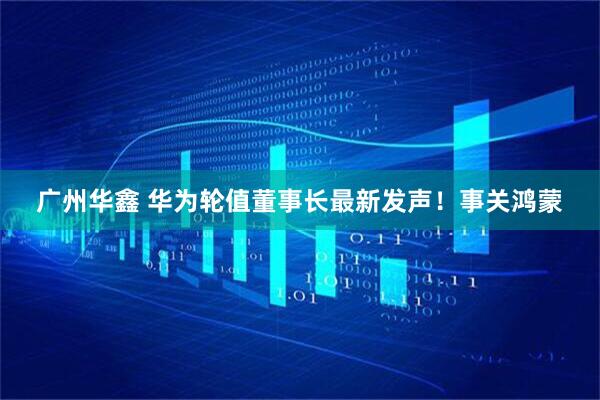 广州华鑫 华为轮值董事长最新发声！事关鸿蒙