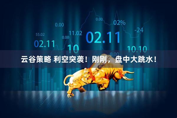 云谷策略 利空突袭！刚刚，盘中大跳水！