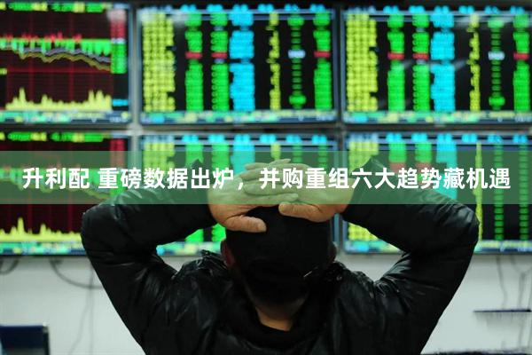 升利配 重磅数据出炉，并购重组六大趋势藏机遇
