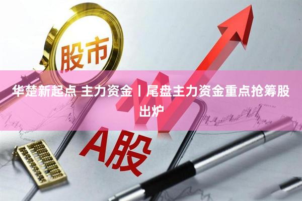 华楚新起点 主力资金丨尾盘主力资金重点抢筹股出炉