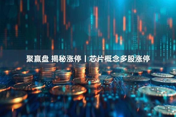 聚赢盘 揭秘涨停丨芯片概念多股涨停