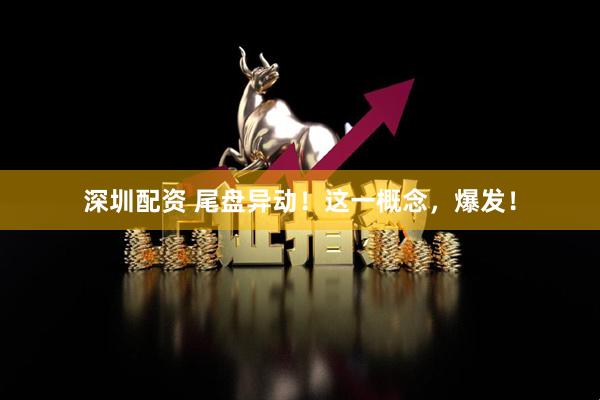 深圳配资 尾盘异动！这一概念，爆发！