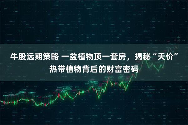 牛股远期策略 一盆植物顶一套房，揭秘“天价”热带植物背后的财富密码