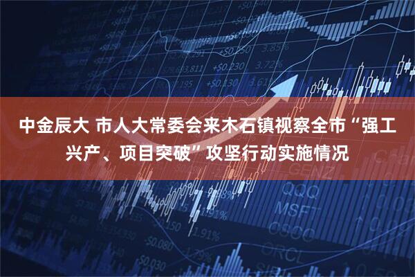 中金辰大 市人大常委会来木石镇视察全市“强工兴产、项目突破”攻坚行动实施情况