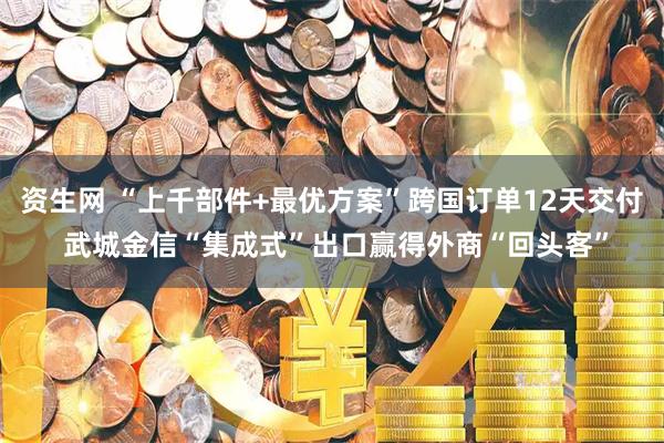 资生网 “上千部件+最优方案”跨国订单12天交付 武城金信“集成式”出口赢得外商“回头客”