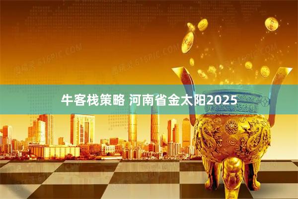牛客栈策略 河南省金太阳2025