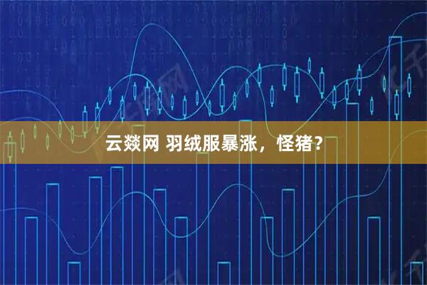 云燚网 羽绒服暴涨,怪猪?