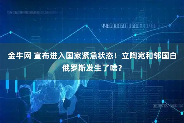 金牛网 宣布进入国家紧急状态!立陶宛和邻国白俄罗斯发生了啥?